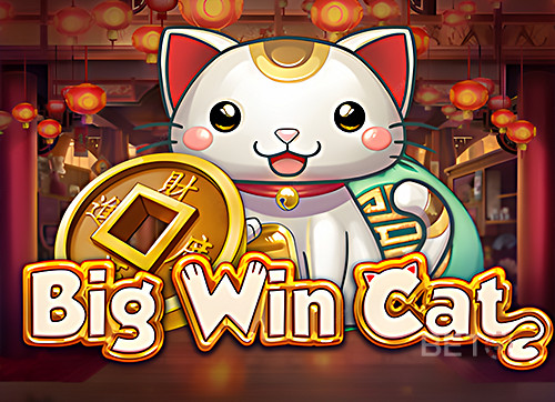 Big Win Cat