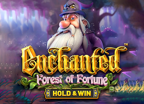 Enchanted: Forest of Fortune
