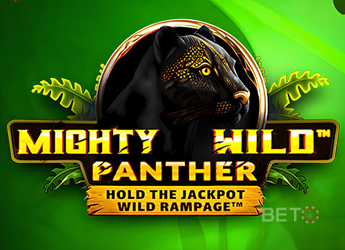 Mighty Wild: Panther