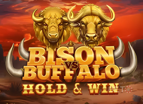 Bison vs Buffalo