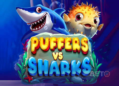 Puffers Vs Sharks