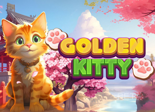 Golden Kitty