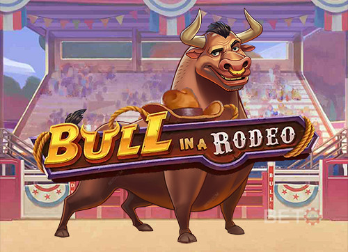 Bull in a Rodeo