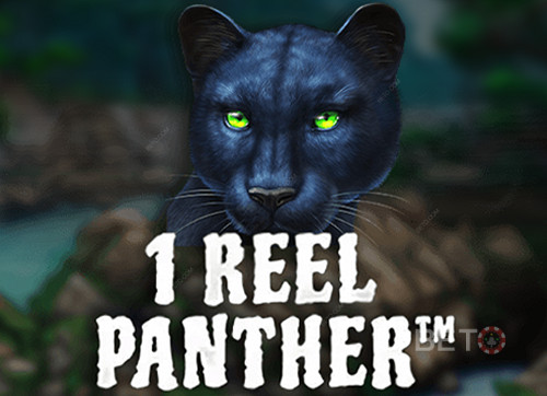 1 Reel Panther