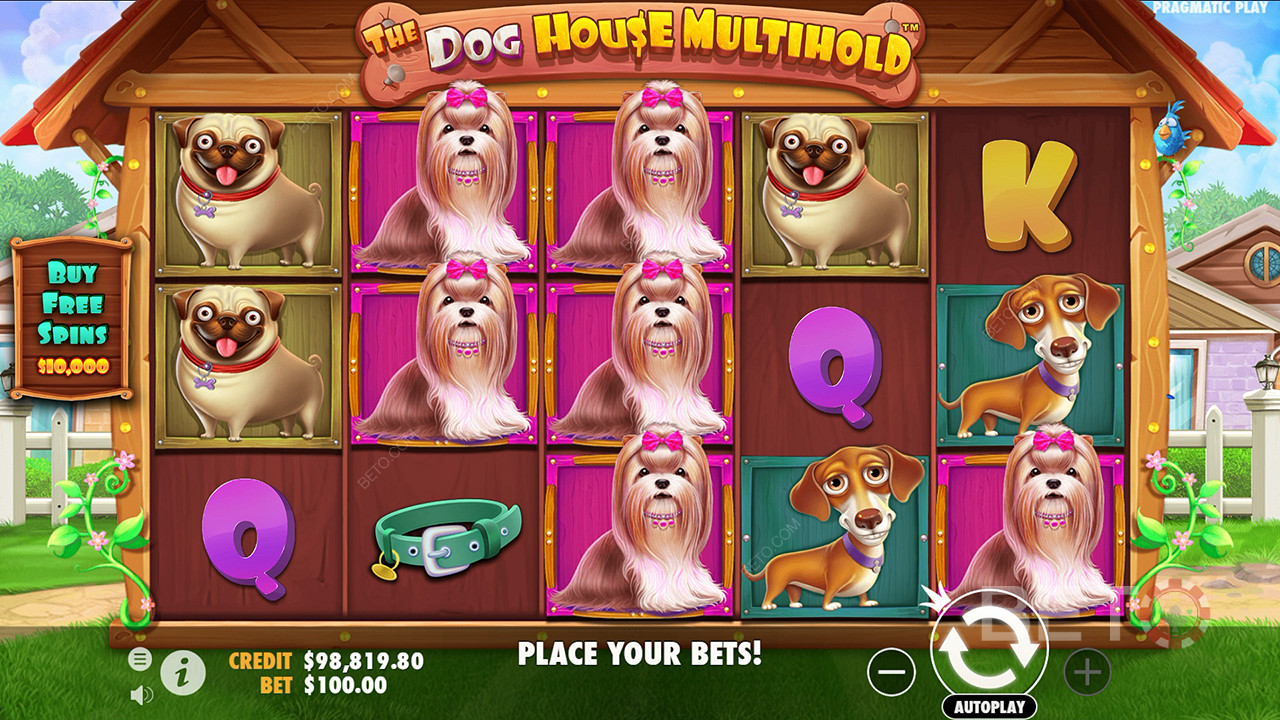 Werdykt dla The Dog House Multihold Video Slot