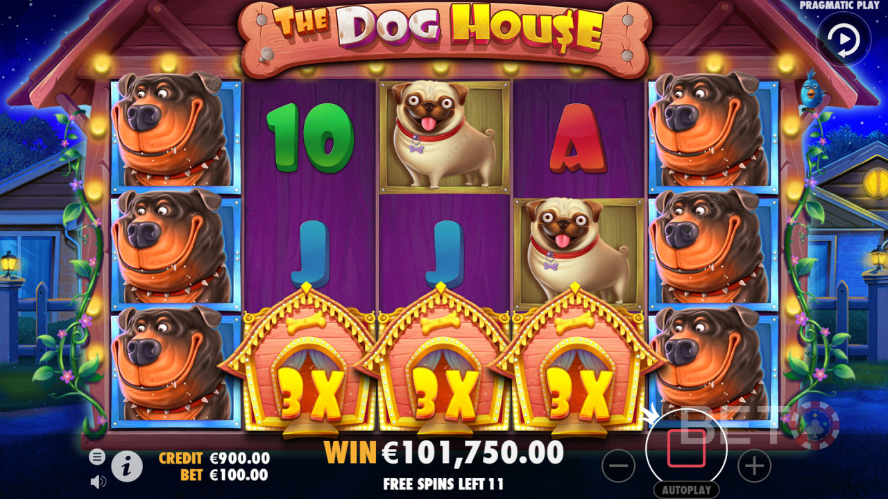 Zdobycie wysokopłatnego combo na bębnach gry The Dog House