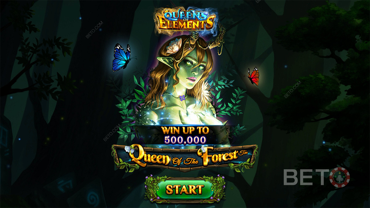 Queen of the Forest Graj Za Darmo