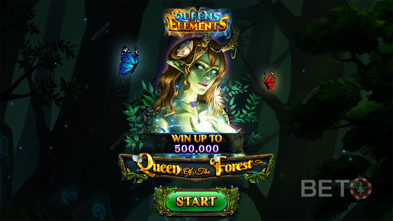 Recenzja Queen of the Forest od BETO Slots