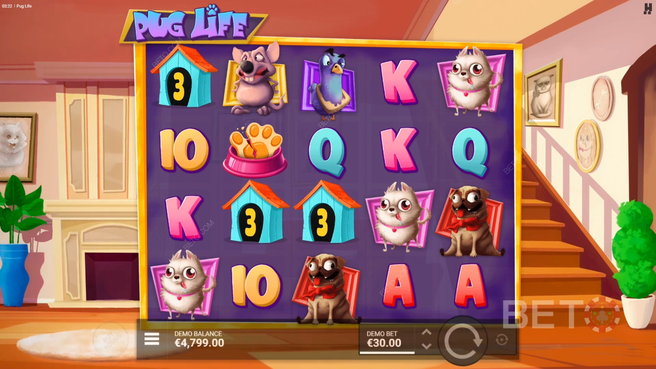 Recenzja Pug Life od BETO Slots