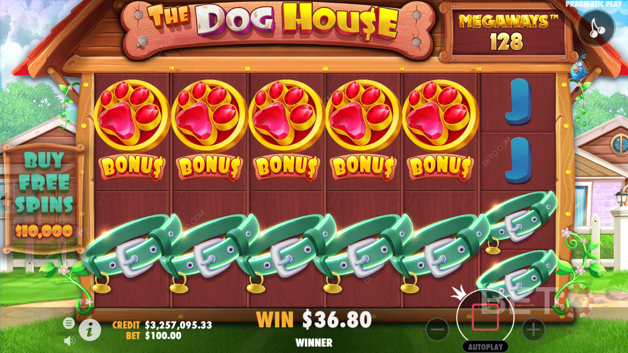 Szczegółowy interfejs rozgrywki slotu The Dog House Megaways casino