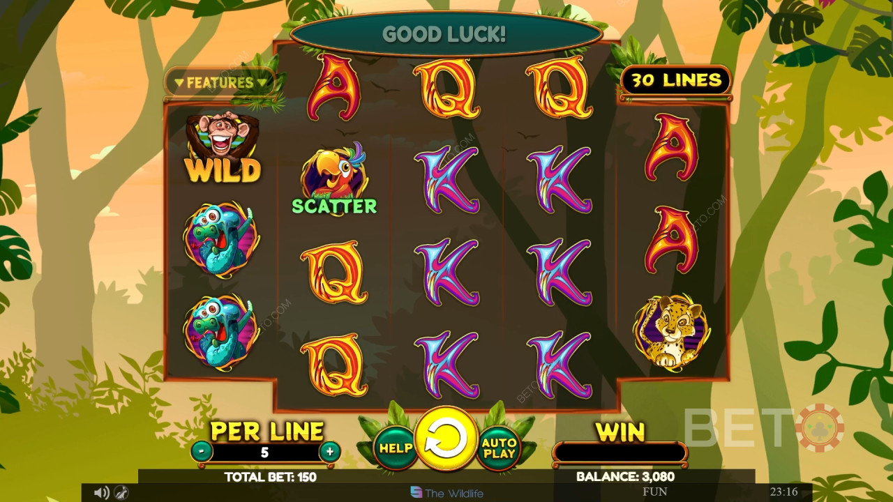 Recenzja Wacky Monkey od BETO Slots