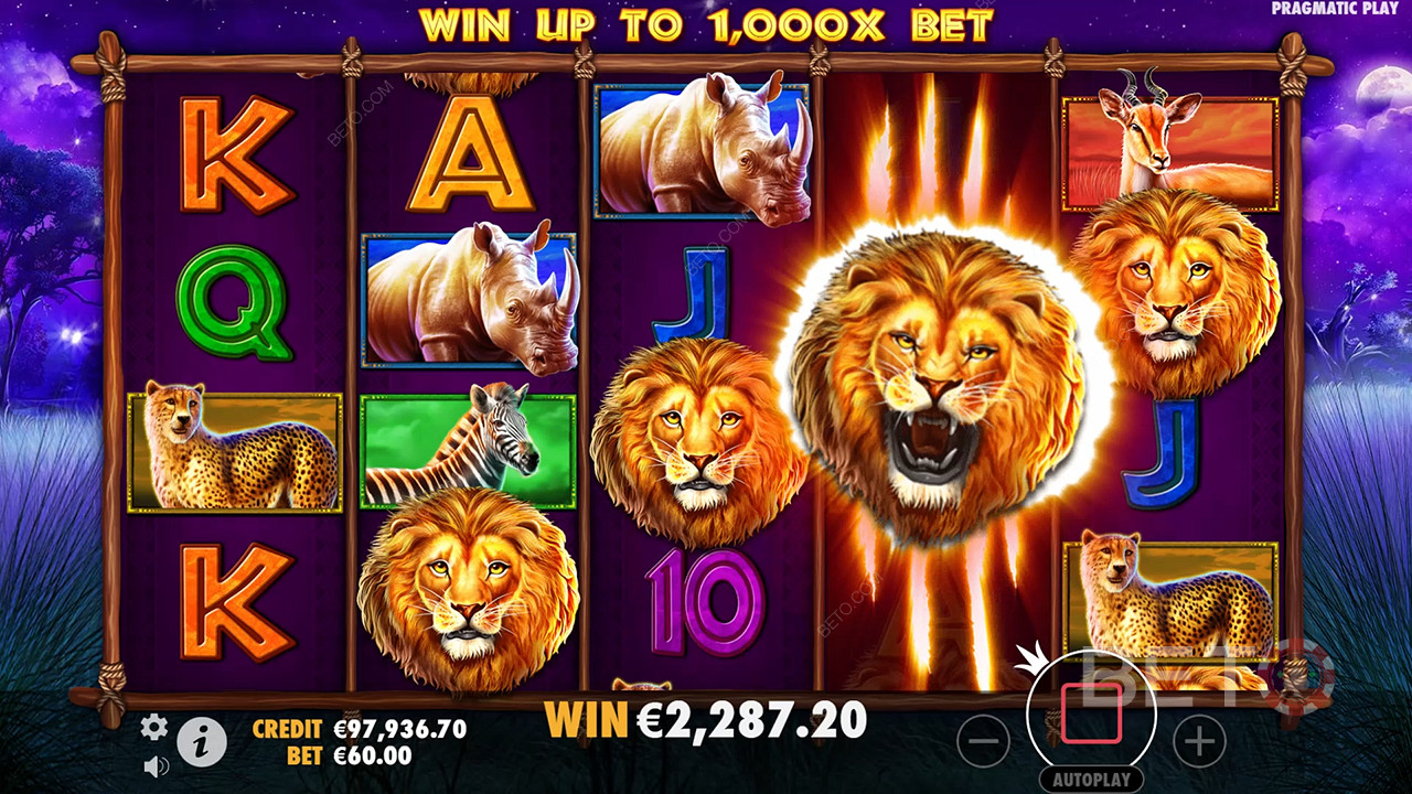 Safari King (Pragmatic Play)  Graj Za Darmo