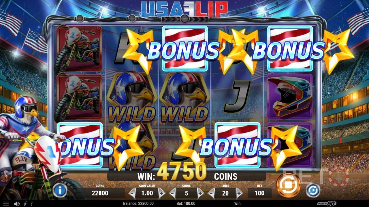 USA Flip  Graj Za Darmo