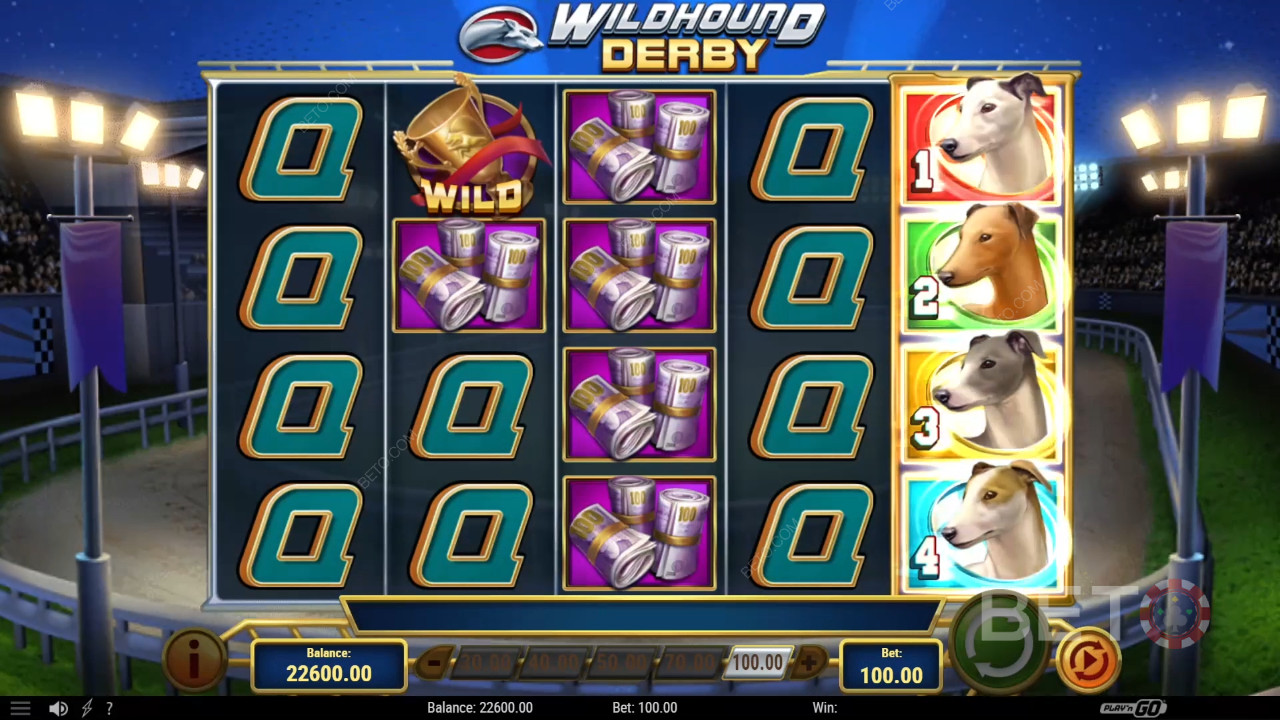 Recenzja Wildhound Derby od BETO Slots