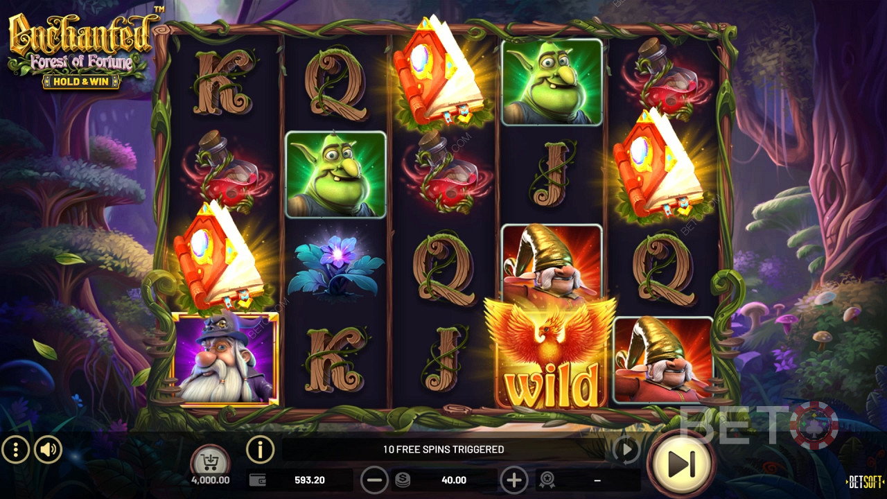 Enchanted: Forest of Fortune Graj Za Darmo