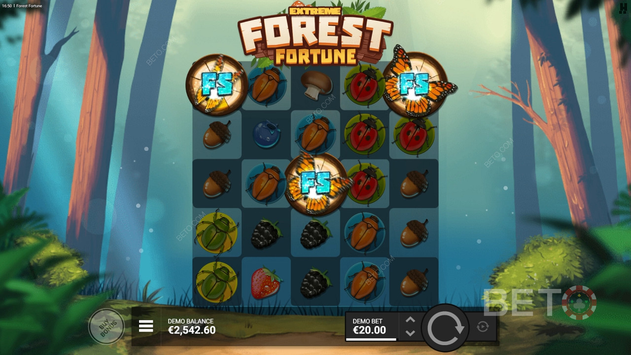 Forest Fortune Graj Za Darmo