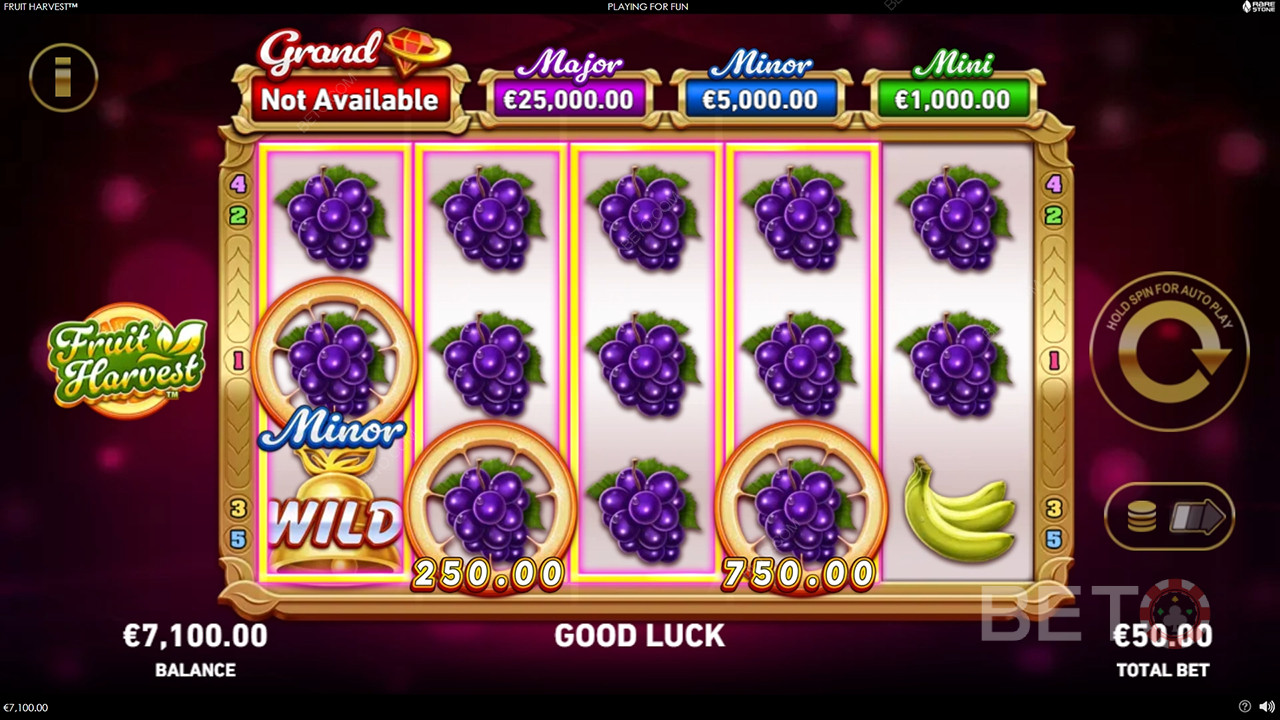 Recenzja gry Fruit Harvest od BETO Slots