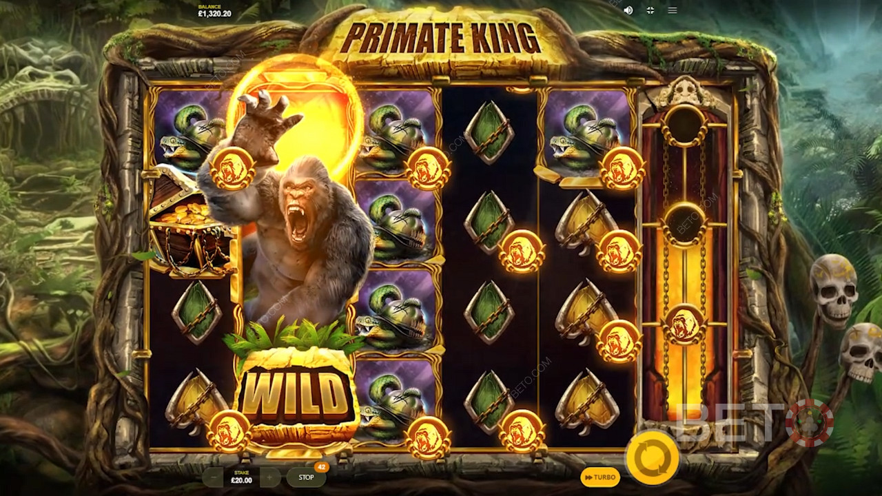 Primate King od Red Tiger Gaming posiada wiele wspaniałych funkcji bonusowych.