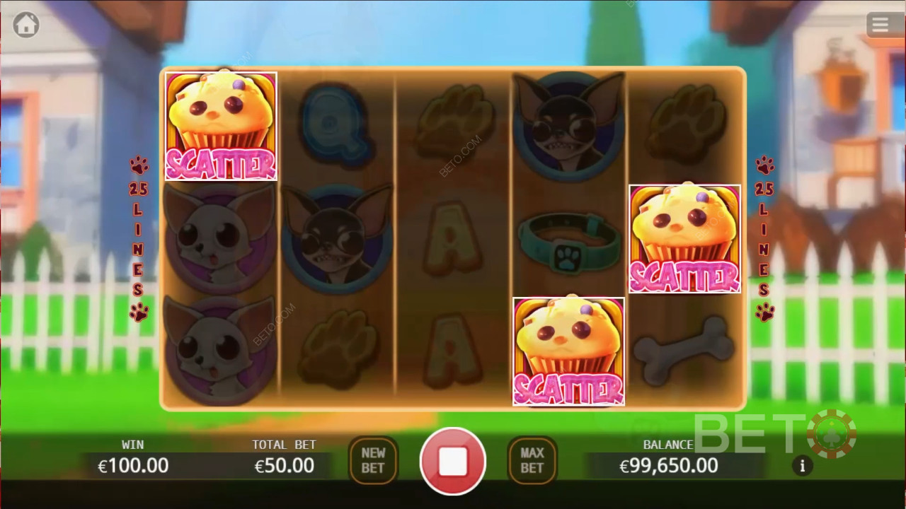 Recenzja Chihuahua Party od BETO Slots