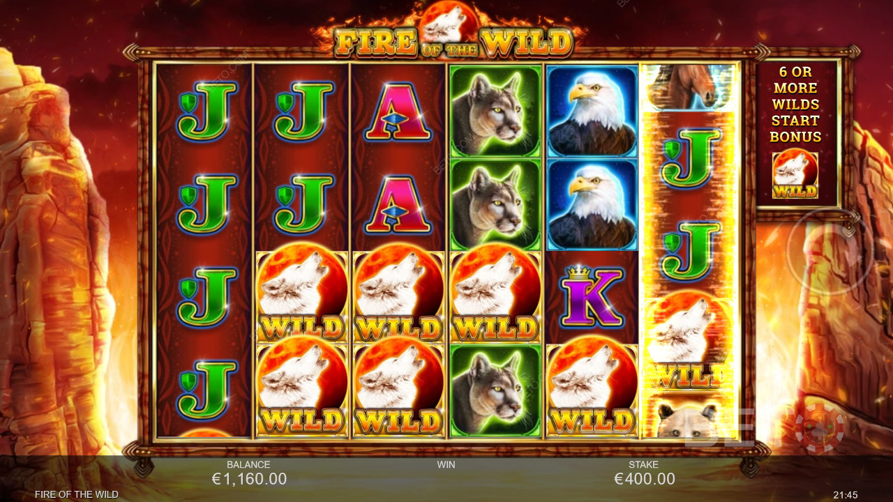 Recenzja Fire of the Wild od BETO Slots