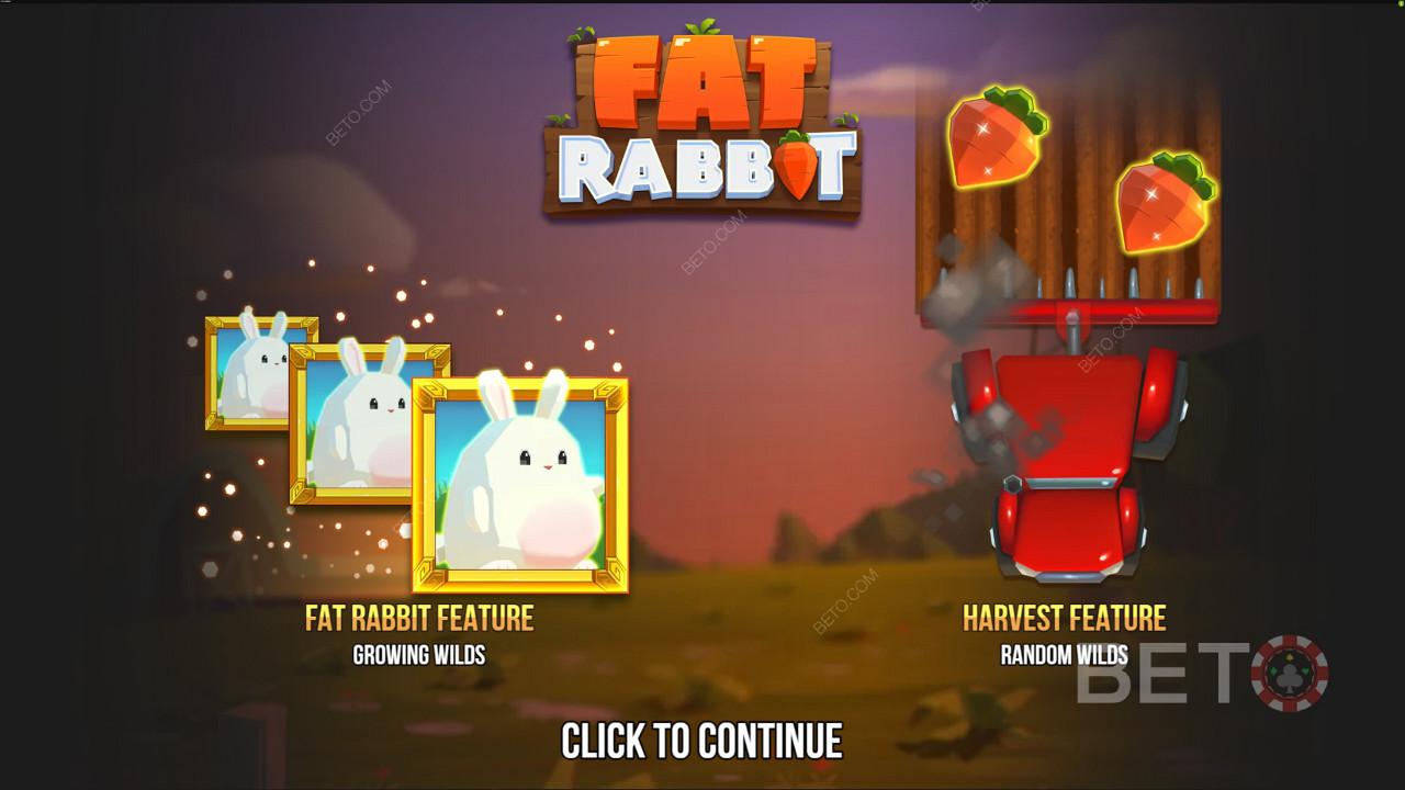 Strona wstępna Fat Rabbit