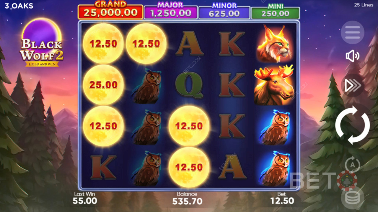 Black Wolf 2 Graj Za Darmo