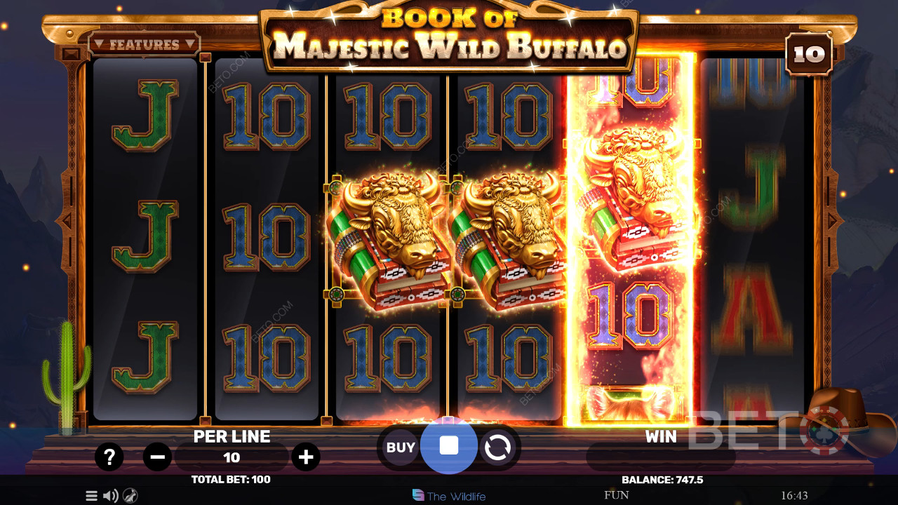 Book of Majestic Wild Buffalo Graj Za Darmo