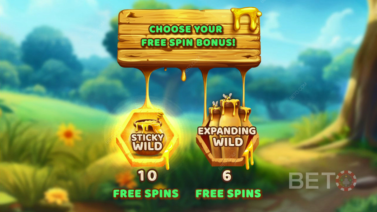 Motyw i projekt: Bee Adventure Quest