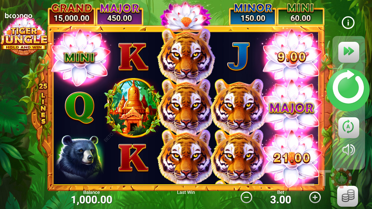 Zdobądź jackpoty w slotach takich jak Tiger Jungle Hold and Win