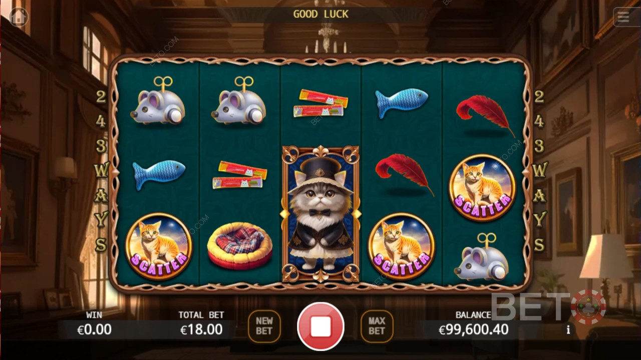 Recenzja Noble Cat od BETO Slots