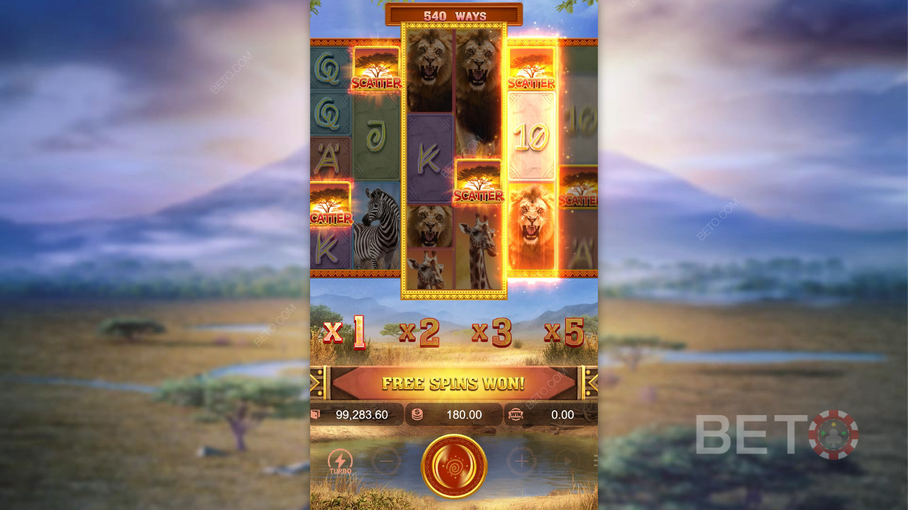 Recenzja Safari Wilds od BETO Slots