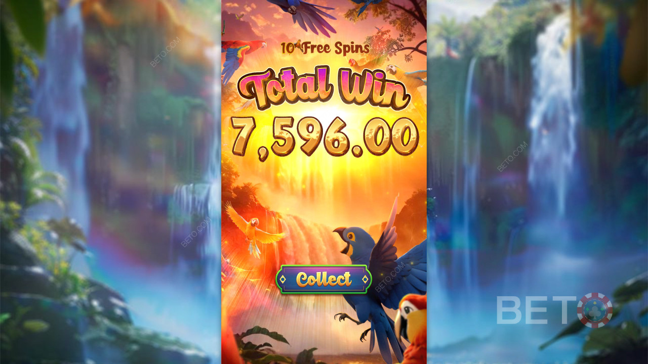 Wings of Iguazu - tak czy nie?