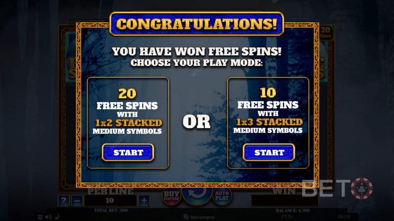 Aktywuj tryb Free Spins i wybierz jeden z 2 rodzajów bonusów Free Spins