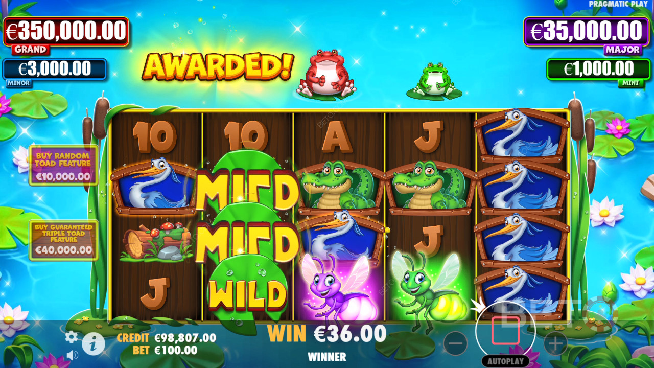Recenzja Tiny Toads od BETO Slots