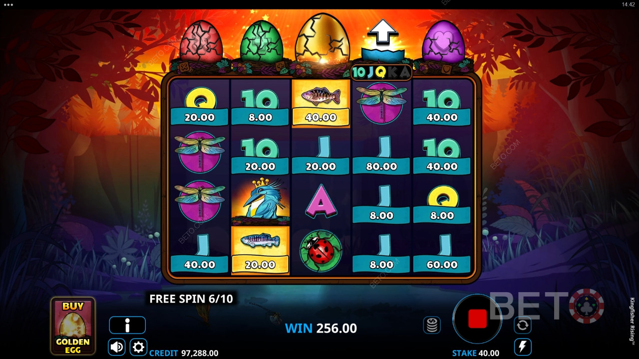 Recenzja Kingfisher Rising od BETO Slots