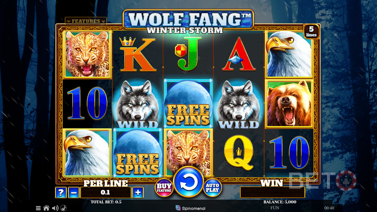 Wolf Fang Winter Storm Graj Za Darmo