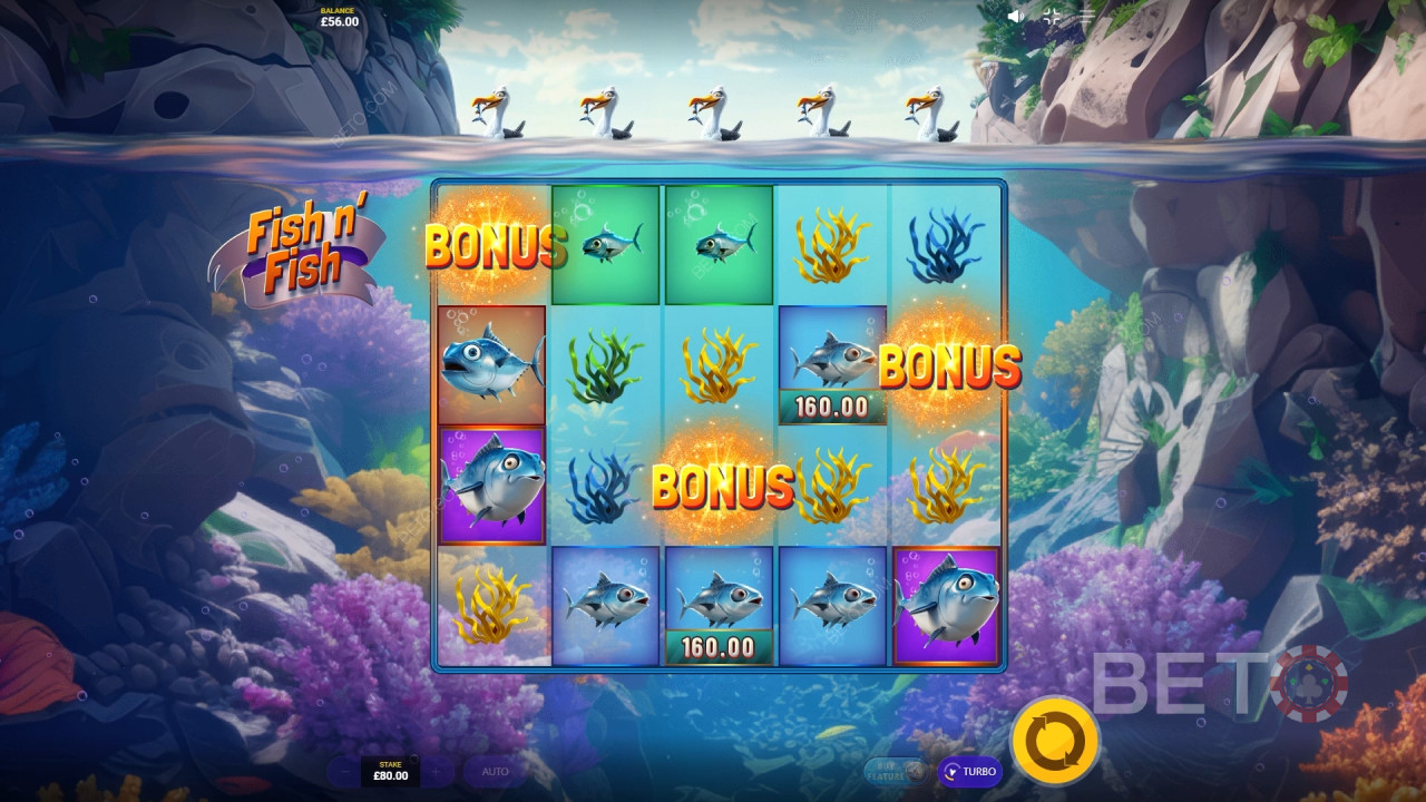 Recenzja Fish n