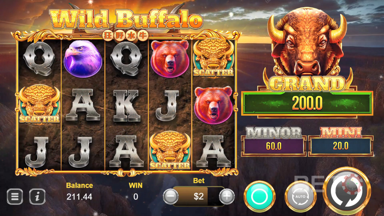 Wild Buffalo Graj Za Darmo