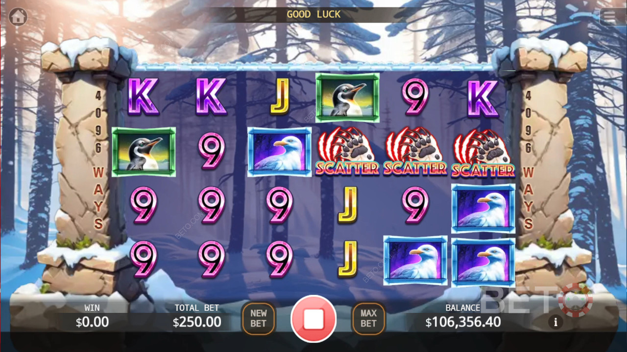 Recenzja Bear Paw Legend Plus od BETO Slots