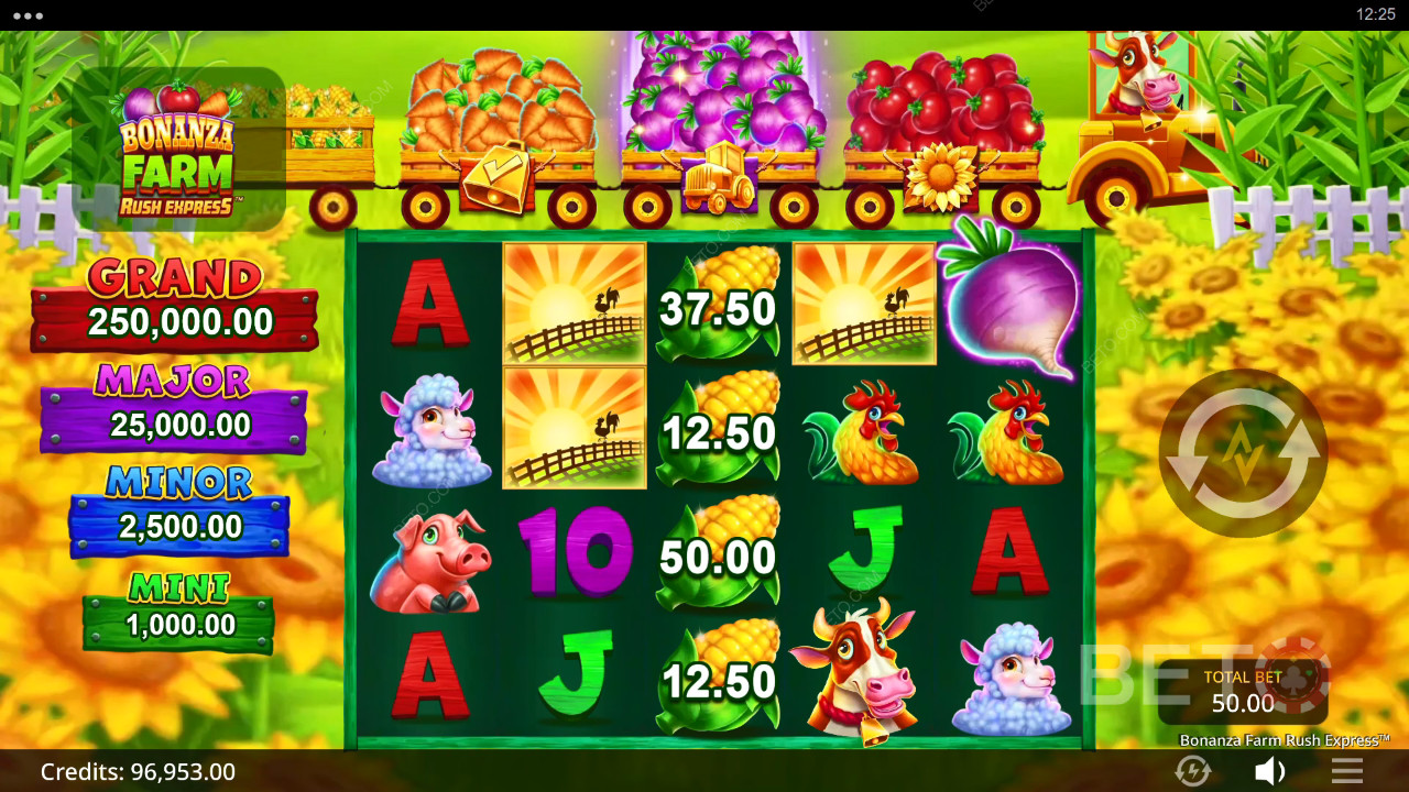 Recenzja Bonanza Farm Rush Express od BETO Slots