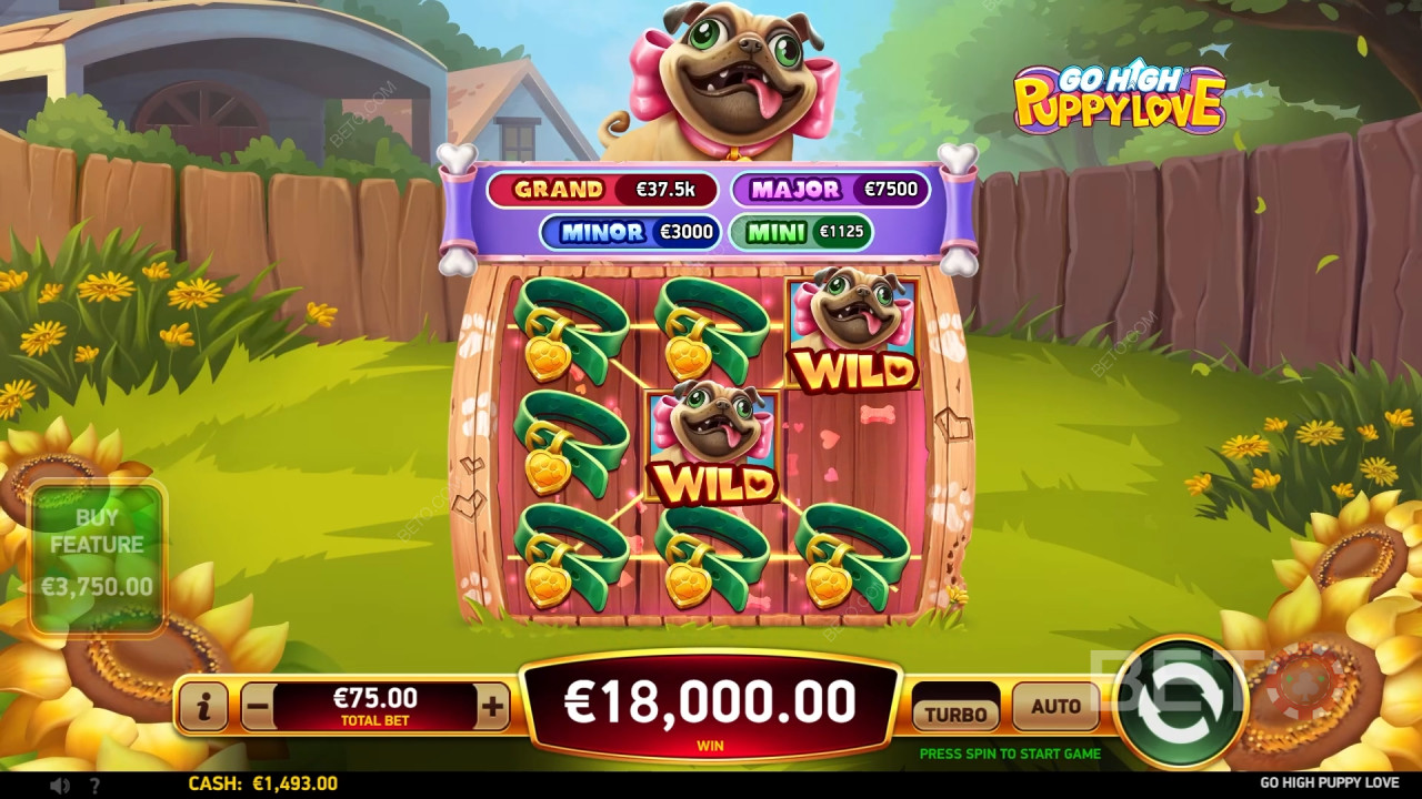 Recenzja Go High Puppy Love od BETO Slots
