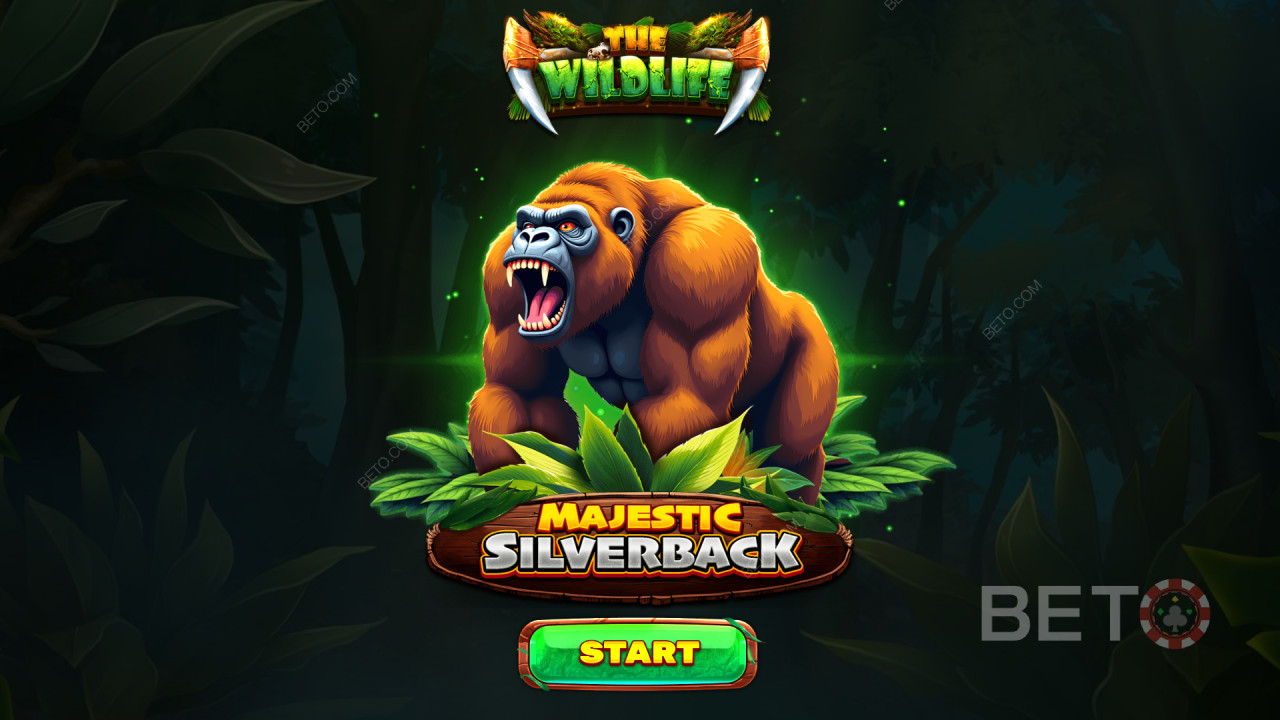 Funkcje bonusowe wyjaśnione w Majestic Silverback przez Spinomenal