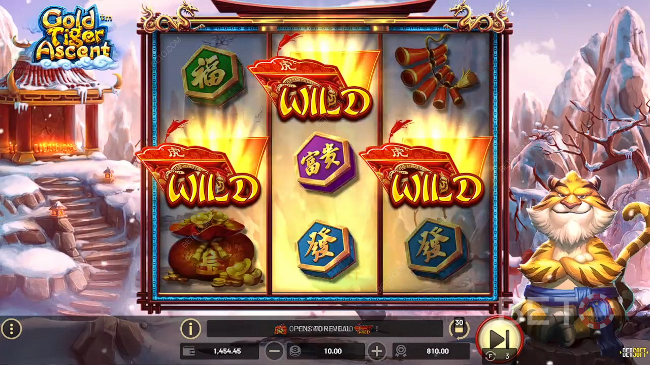 Gold Tiger Ascent Graj Za Darmo