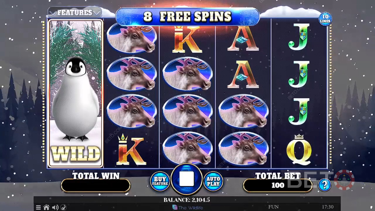 Recenzja Wild Penguin od BETO Slots