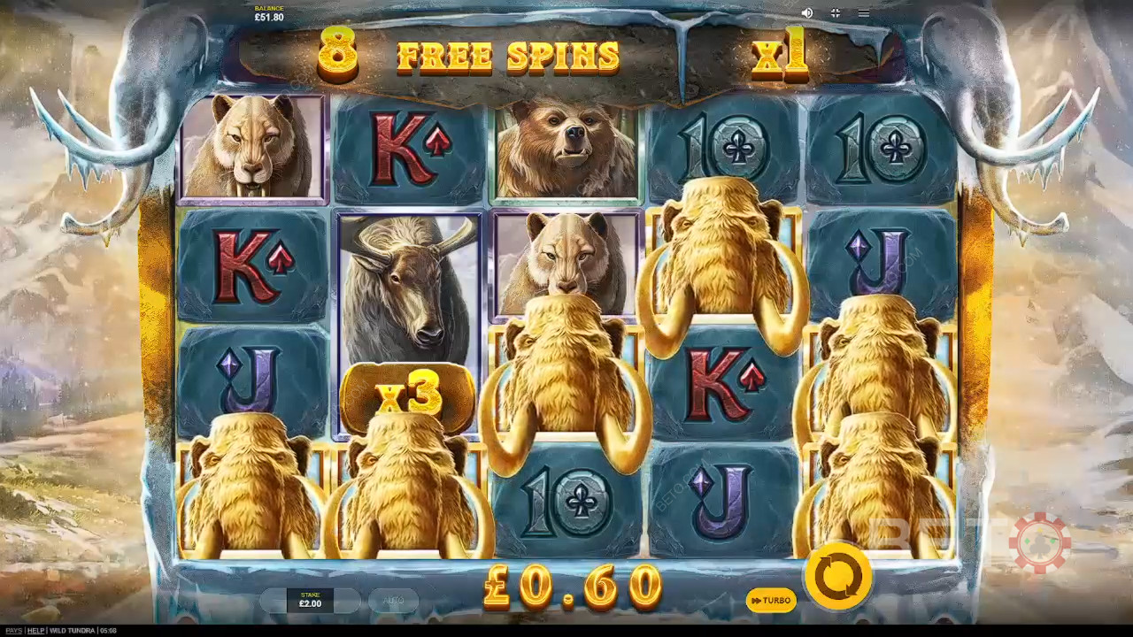 Recenzja Wild Tundra od BETO Slots