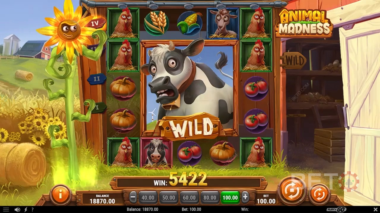 Recenzja Animal Madness od BETO Slots