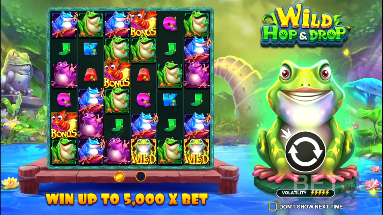 Slot online Wild Hop and Drop - nasz werdykt