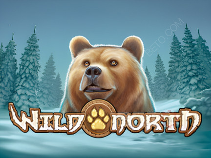 Czech: Wild North (Play’n Go) Demo