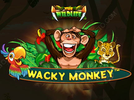 Czech: Wacky Monkey Demo