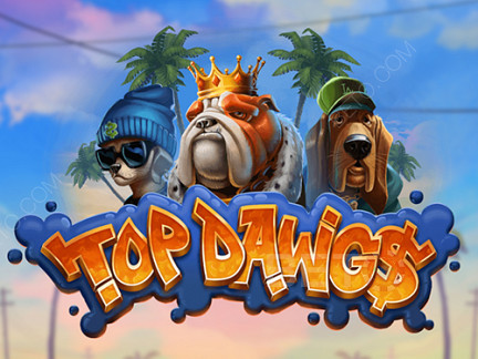 Czech: Top Dawgs Demo